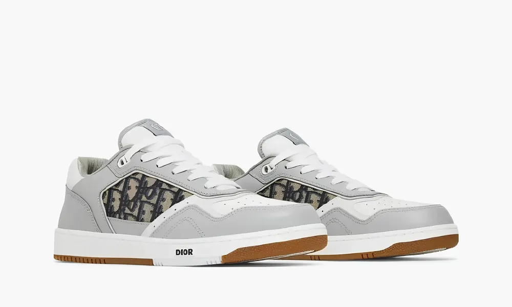 Dior B27 Low Gray White
