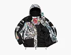Supreme x The North Face Steep Tech Apogee Jacket Multicolor Dragon