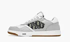 Dior B27 Low Gray White