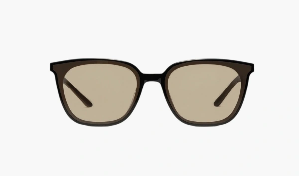 Gentle Monster Alma 01(BR) Sunglasses Black / Brown 