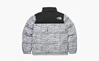 The North Face White Label Novelty Nuptse Down Jacket Silver