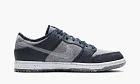 Nike SB Dunk Low Pro Crater