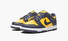 Nike Dunk Low GS Michigan 2021