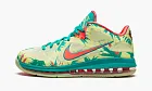 Nike Lebron 9 Low Lebronald Palmer 2022