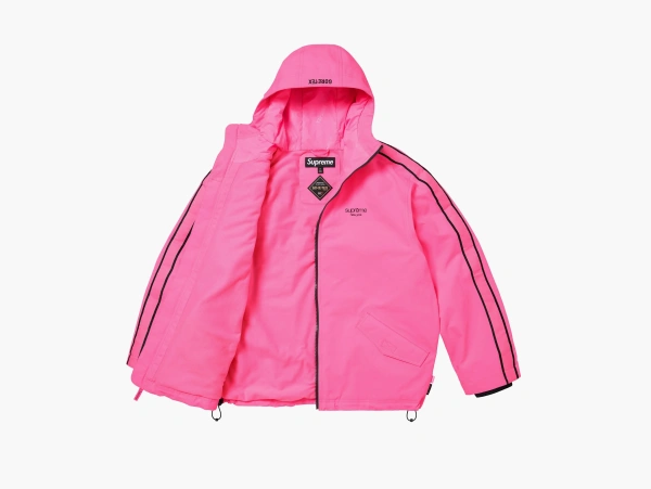 Supreme GORE-TEX Stripe Hooded Jacket Fluorescent Pink  Supreme GORE-TEX Stripe Hooded Jacket Fluorescent Pink
