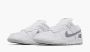 Nike Dunk Low SB x Supreme White Metallic Silver 
