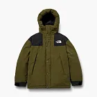The North Face White Label Ultimate Down Jacket Green
