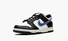 Nike Dunk Low Next Nature GS Tpu Swoosh