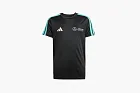 Adidas Mercedes Amg Petronas Formula Team Dna T-Shirt Black/White