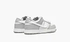 Nike Dunk Low PS Two-toned Grey