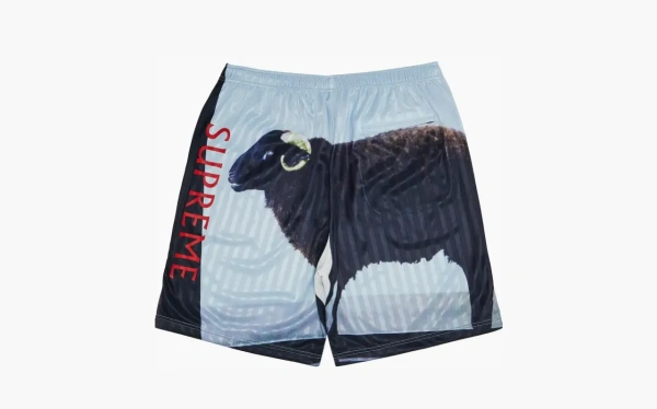 Supreme x Damien Hirst Soccer Short Black  Supreme x Damien Hirst Soccer Short Black