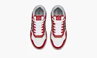 Dior B27 Low Erl Red