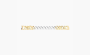 Dior Bracelets Mens "Gold/Silver" 