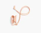 Bottega Veneta AirPods Pro Case Cameo