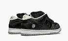 Nike SB Dunk Low Medicom Toy - Be@rbrick