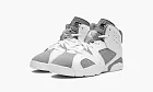 Air Jordan 6 PS Cool Grey