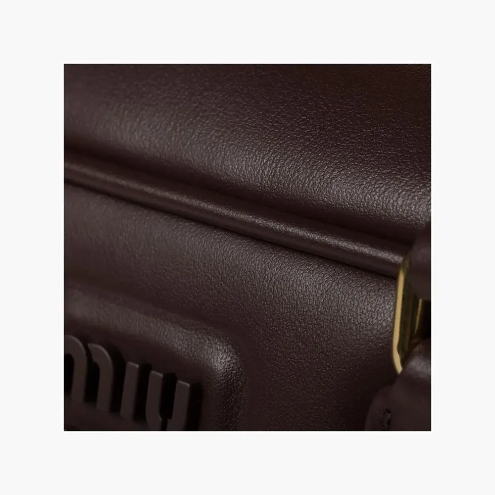 Miu Miu Arcadie leather bag Briarwood