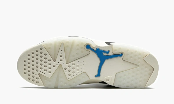 Air Jordan 6 Retro WMNS Tech Chrome 