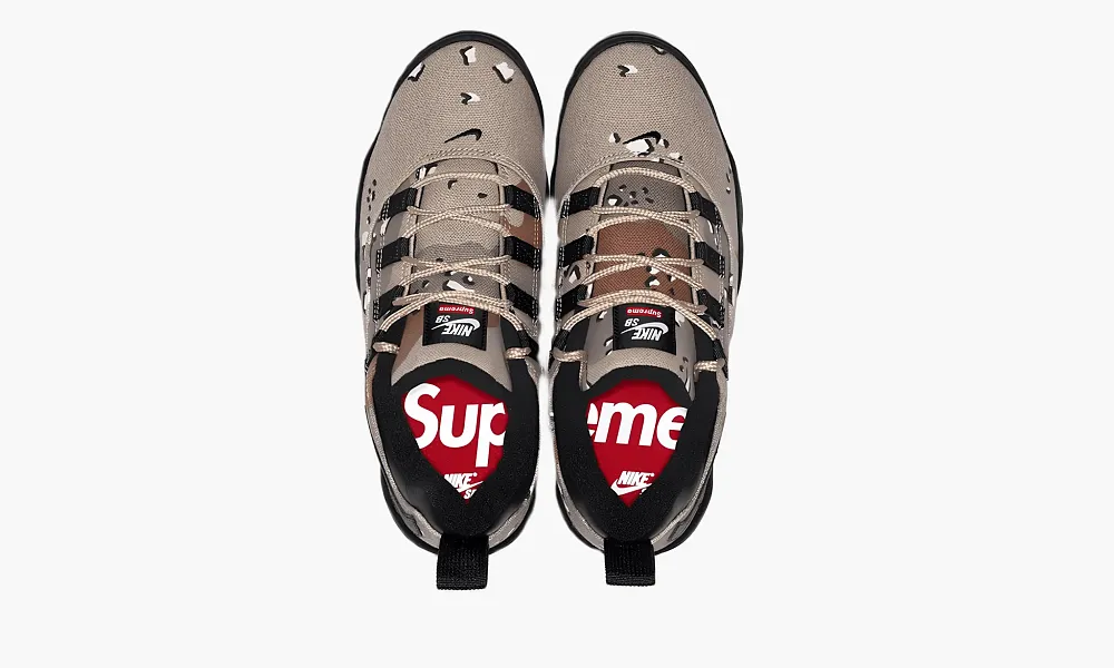 Nike Supreme X SB Air Darwin Low Grey