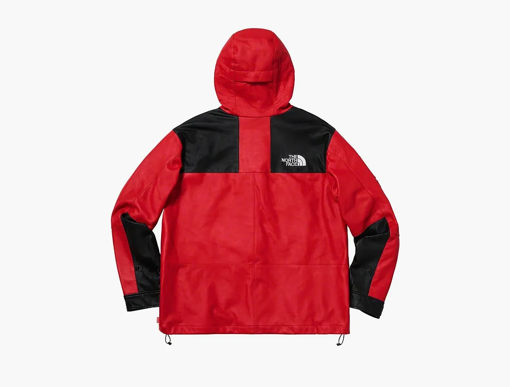 Supreme x The North Face Leather Mountain Parka Red