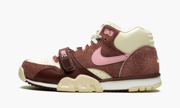 Nike air trainer dunks best sale