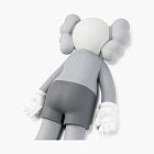 Companion 2020 Vinyl Figure Grey