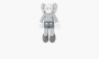 Companion 2020 Vinyl Figure Grey 