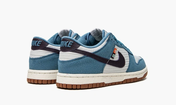 Nike Dunk Low SE Next Nature GS Toasty Rift Blue 