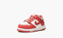 фото Nike Dunk Low TD "White Gypsy Rose" (Nike TD)-DC9562 111