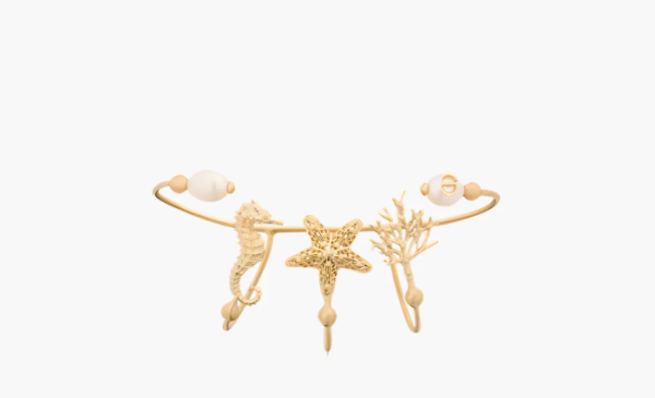 Dior Metal Cabinet de Curiosités WMNS Gold  Dior Metal Cabinet de Curiosités WMNS Gold