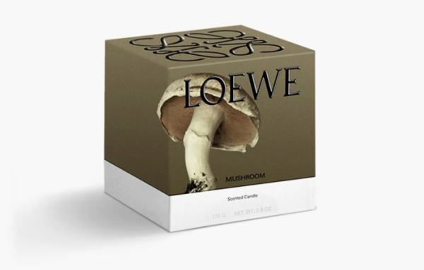 Loewe Small Scented Candle Mushroom 