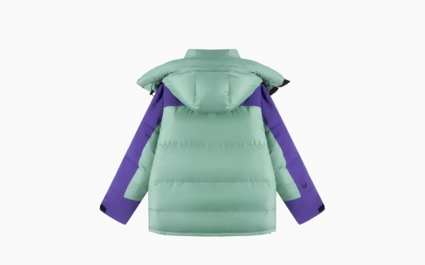 The North Face X GUCCI Down Jackets Men Multicolor  The North Face X GUCCI Down Jackets Men Multicolor