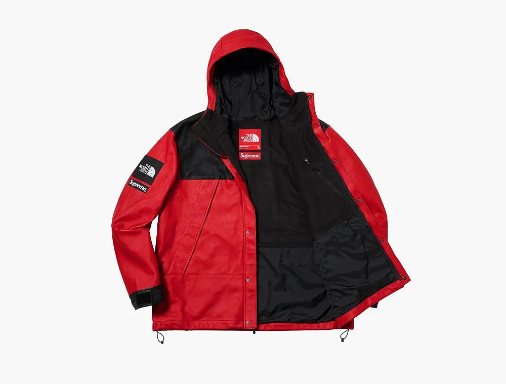 Supreme x The North Face Leather Mountain Parka Red