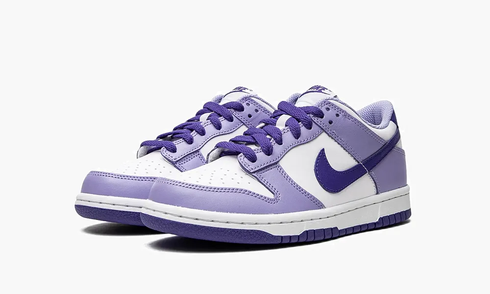 Nike Dunk Low GS Blueberry