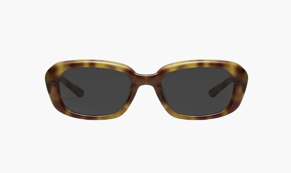 Gentle Monster x Maison Margiela MM207 T6 Sunglasses Tortoise / Gray