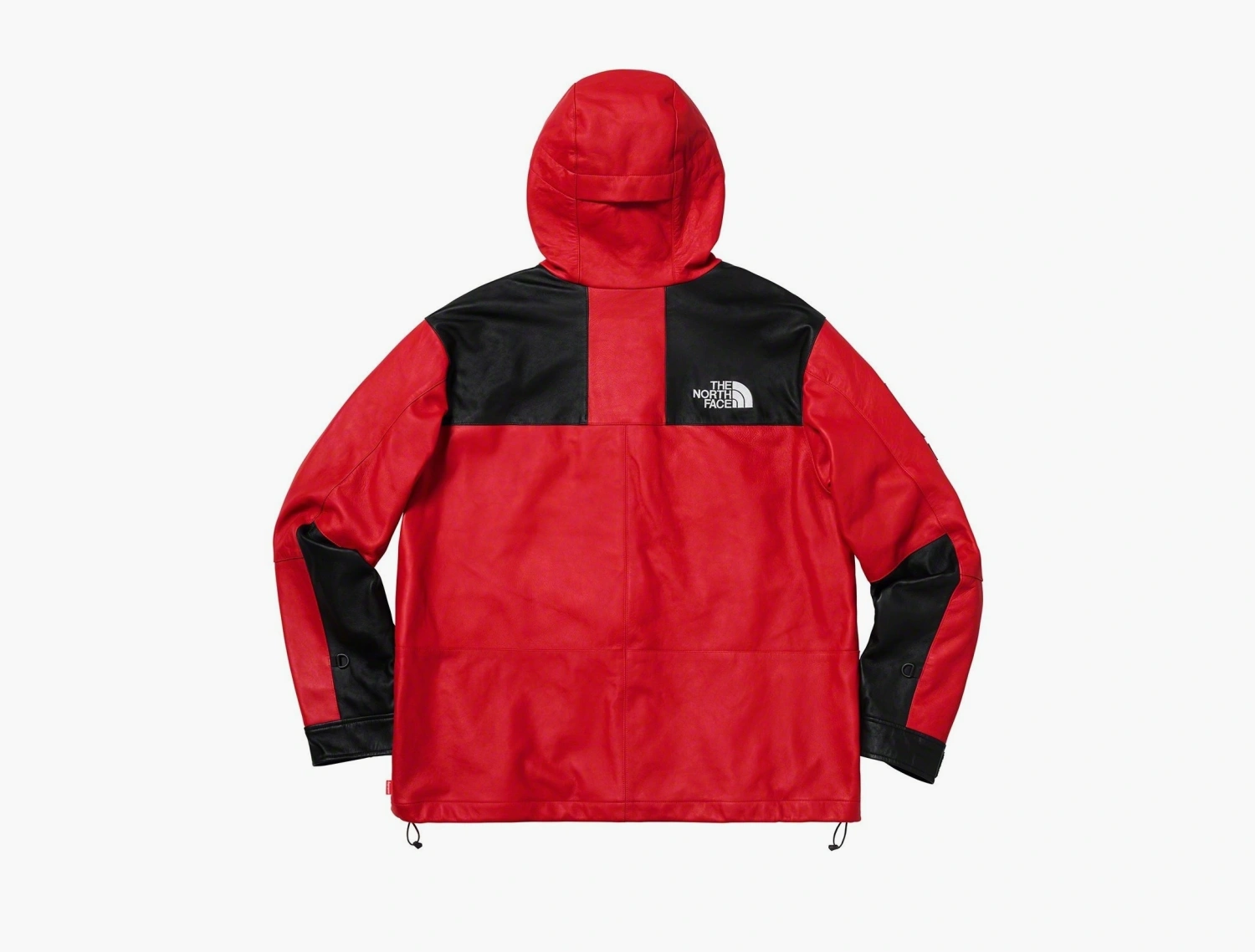 Supreme x The North Face Leather Mountain Parka Red 