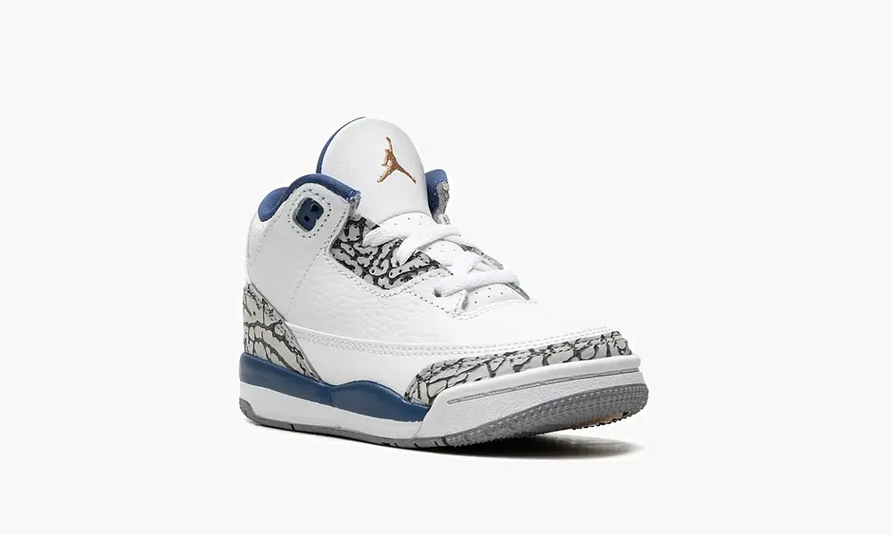 Air Jordan 3 TD Wizards