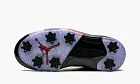Air Jordan 5 Low