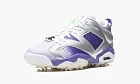 Air Jordan 6 Low Golf U.s. Open