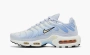 Nike Air Max Plus WMNS Daybreak 