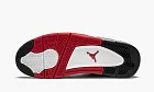 Air Jordan 4 Retro Sngl Dy Singles Day / Tattoo