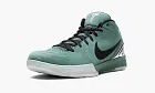 Zoom Kobe 4 Protro Bicoastal