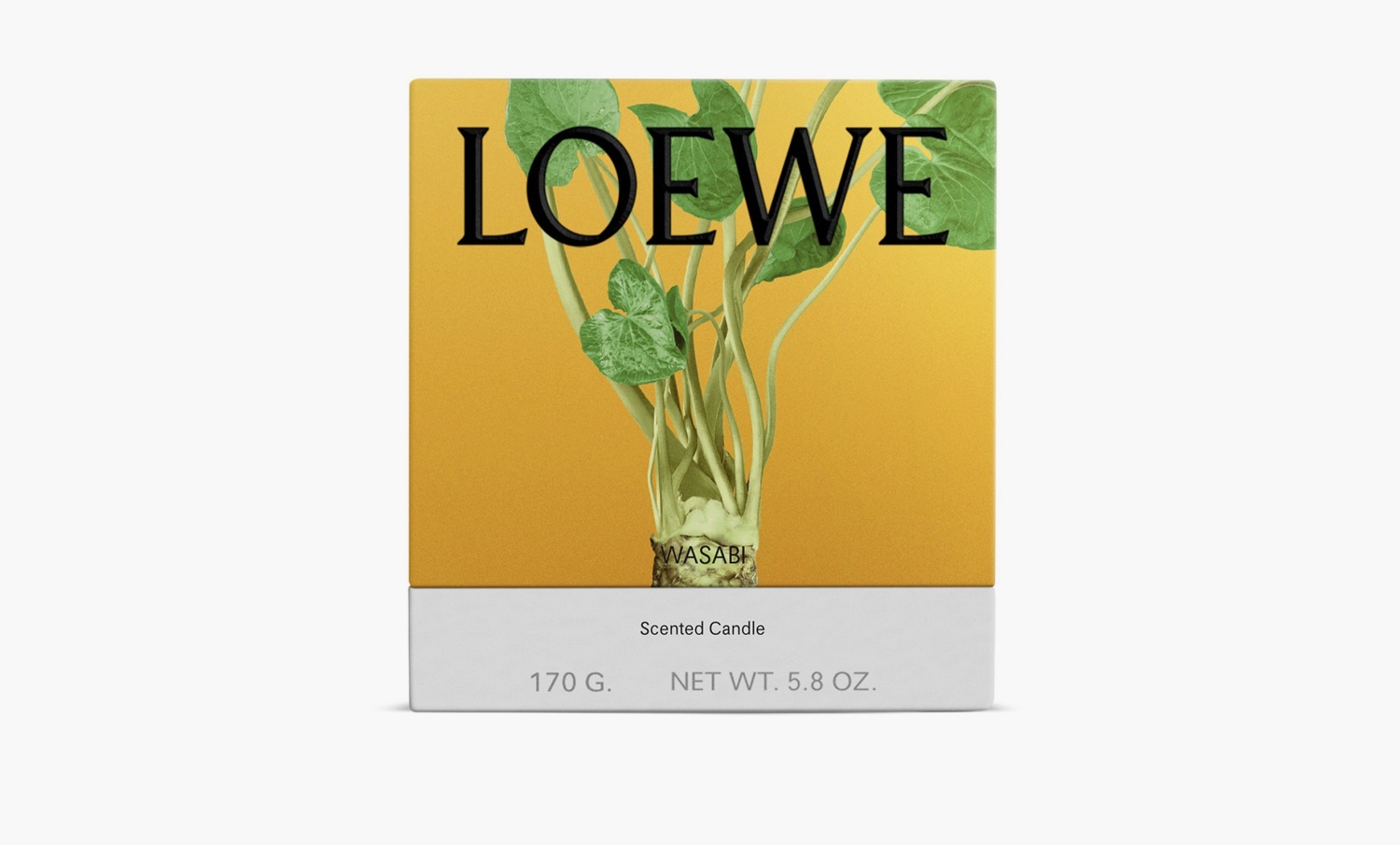 Loewe Small Scented Candle "Wasabi" 