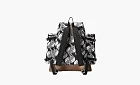 GUCCI x The North Face Backpacks Multicolor