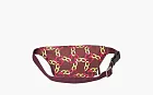 The North Face x Gucci Belt Bag Burgundy Multi