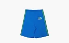 Gucci x The North Face Nylon Shorts Blue Grey