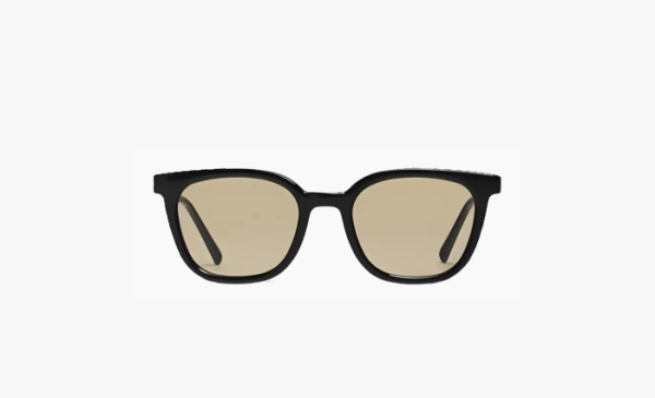 Gentle Monster Lilit 01(BR) Sunglasses Black/Brown 