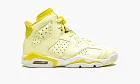 Air Jordan 6 GS Citron Tint / Floral