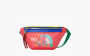 Gucci x The North Face Belt Bag "Multicolor" 