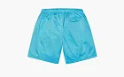 Supreme Small Box Baggy Mesh Short  Cyan